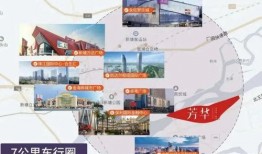 娱乐圈大爆料张小霏简介,揭秘张小霏的星光历程与幕后故事